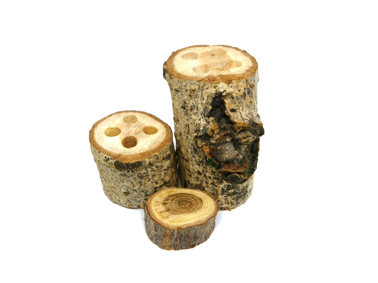 tocones de madera con agujeros montados para hacer portalapiceros rustico