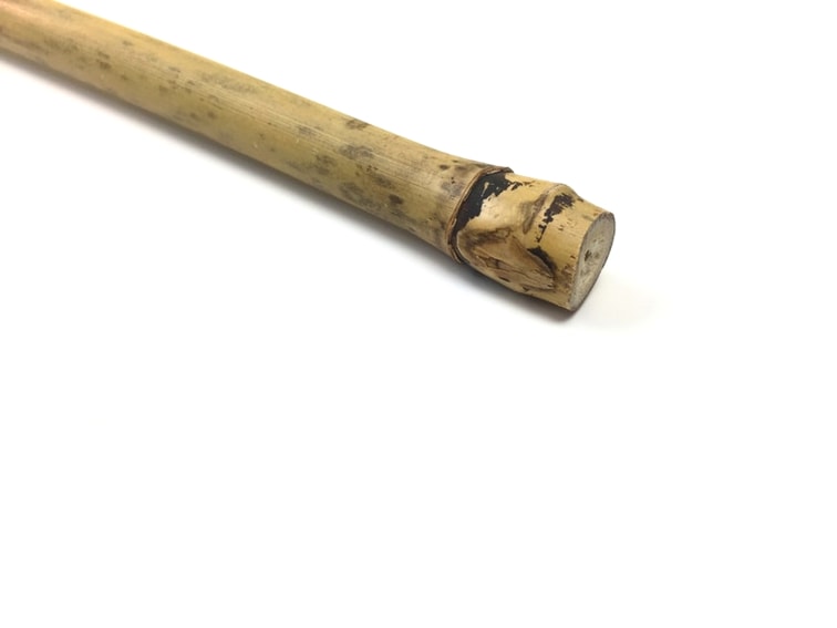 caña de bambu con nudo en un extremo para hacer baston de senderismo