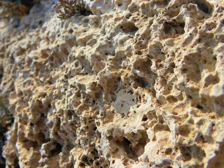 roca fosil