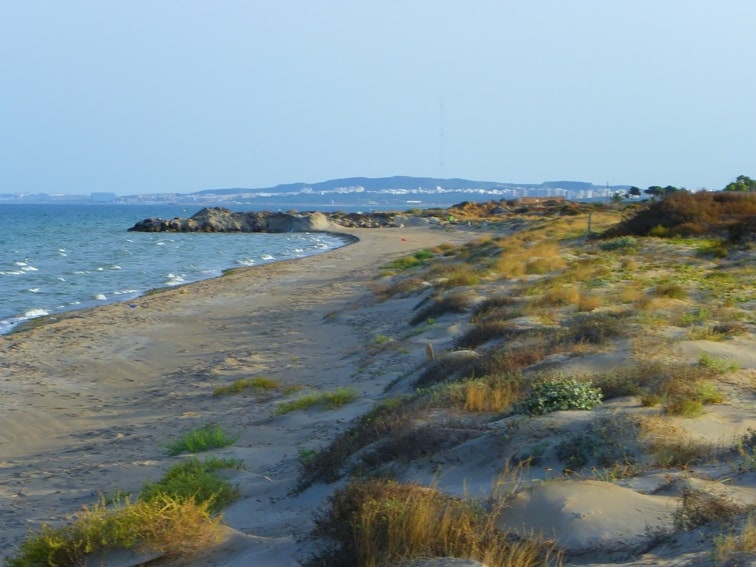 litoral y dunas moviles