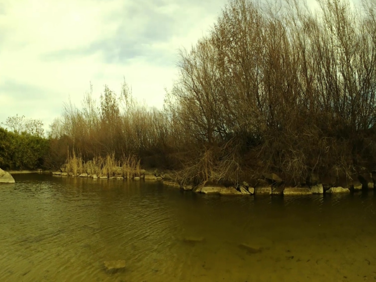 imagen de un lago en un parque publico con filtro