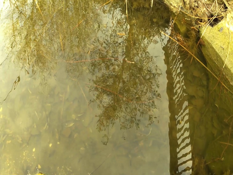 imagen de los reflejos en un lago sin filtro