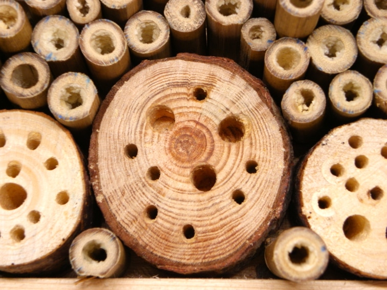 tocones de madera con perforaciones y cañas de bambu para hotel de insectos