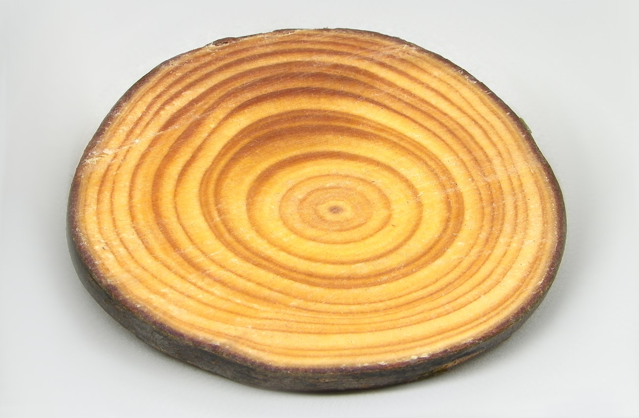 rodaja de madera nutrida con acera incolora y aceite de oliva