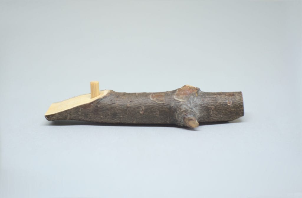 rama seca de pino con corte en diagonal y taco redondo de madera incrustado en orificio