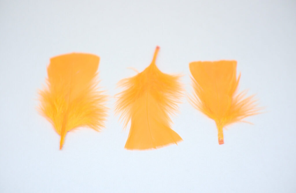 plumas para manualidades de color naranja