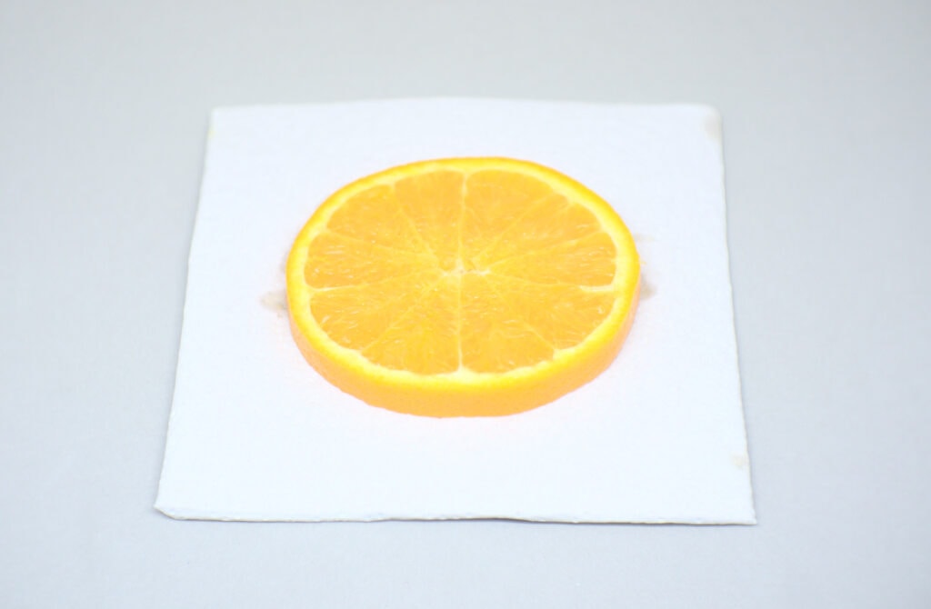 rodaja de una naranja madura