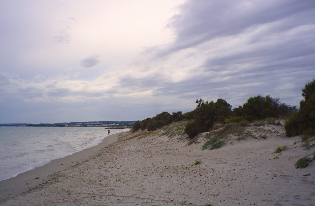 playa de la gola y dunas moviles en santa pola