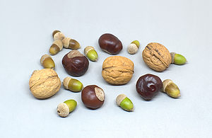 frutos del otoño nueces castañas y bellotas