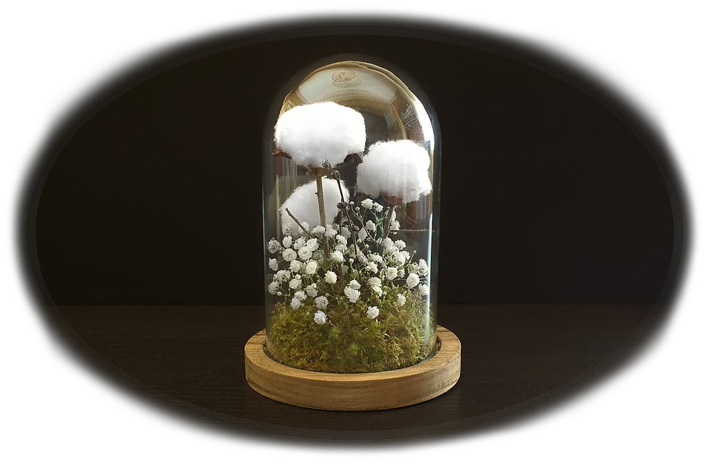 arreglo floral con ramas de flor de algodon decoracion campana de cristal 1