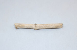 fragmento de madera de deriva