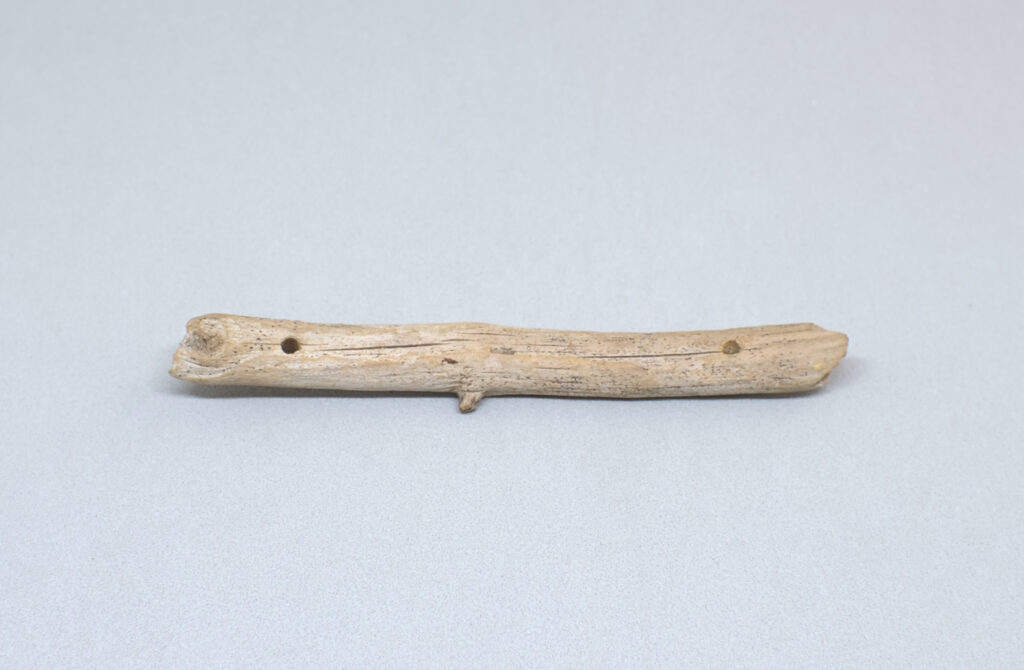 fragmento madera de deriva con dos orificios