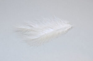 plumas de color gris perlado