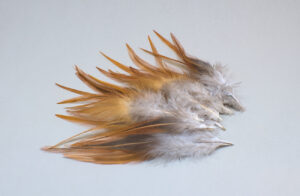 plumas de colores