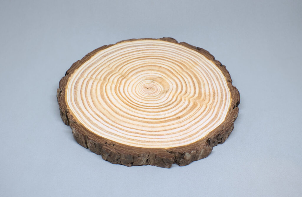 rodaja de madera de pino 20 cm diametro