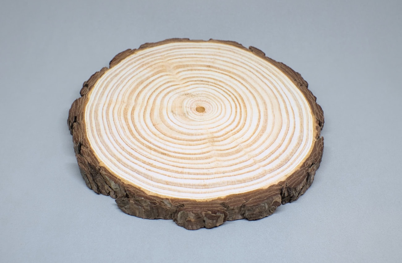 rodaja de madera de pino con orificio central
