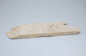 fragmento de madera de deriva