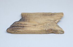 fragmento de madera de deriva parcialmente carbonizada