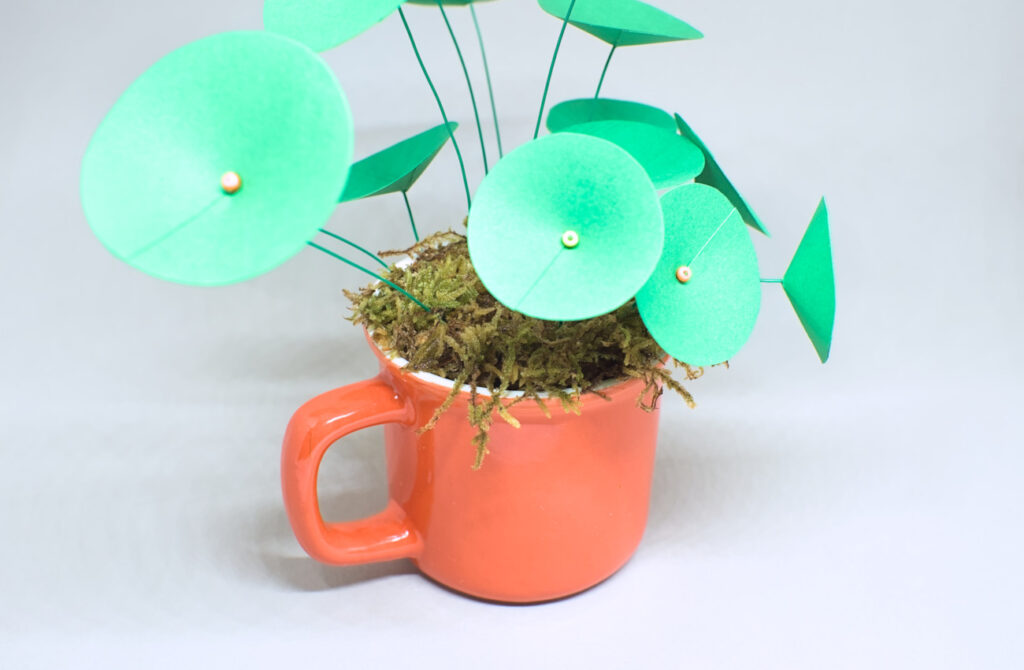 musgo natural colocado en el interior de la taza con plantas de papel