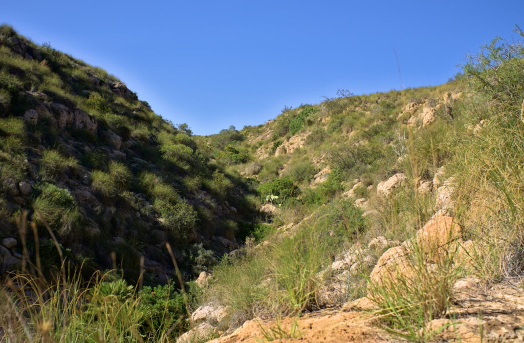 final del cauce del barranco massis en el cabo de santa pola