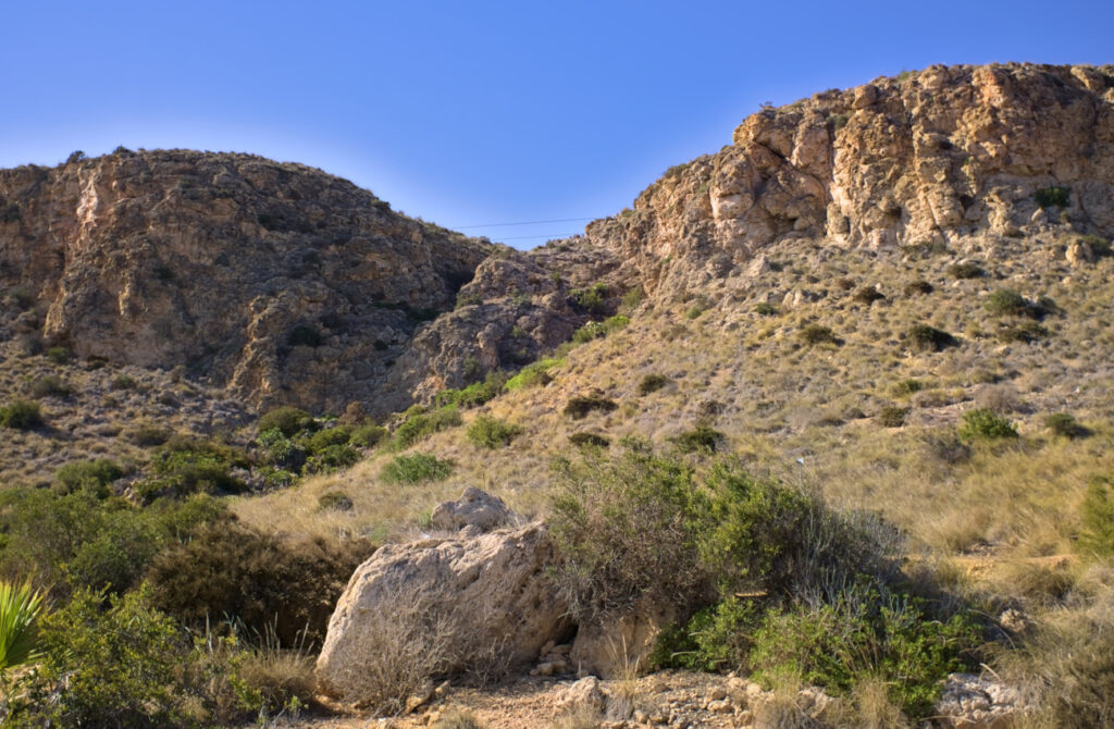 talud arrecifal del barranco massis den el cabo de santa pola