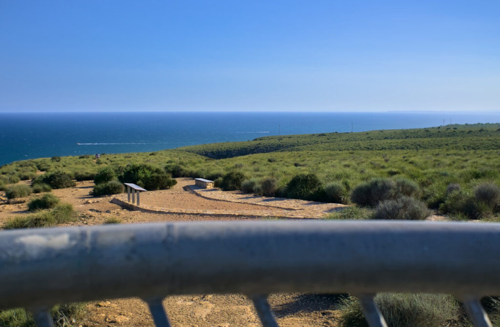 vista de explanada con vegetación desde mirador colgante en cabo de santa pola