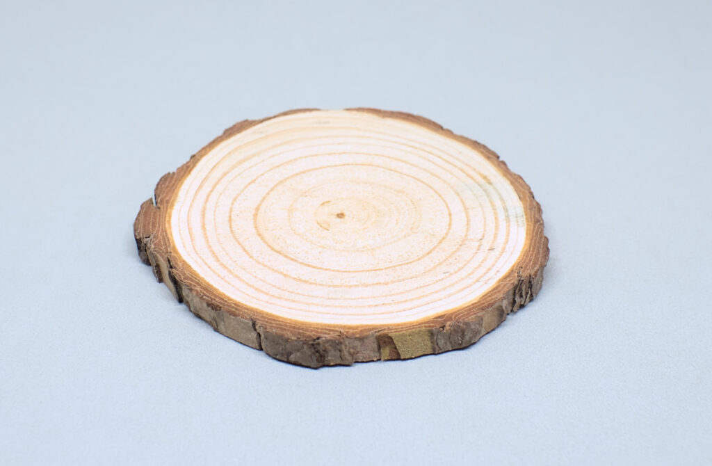 rodaja fina de madera de pino