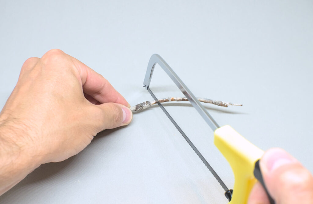 serrando pequeña rama seca con sierra de mano