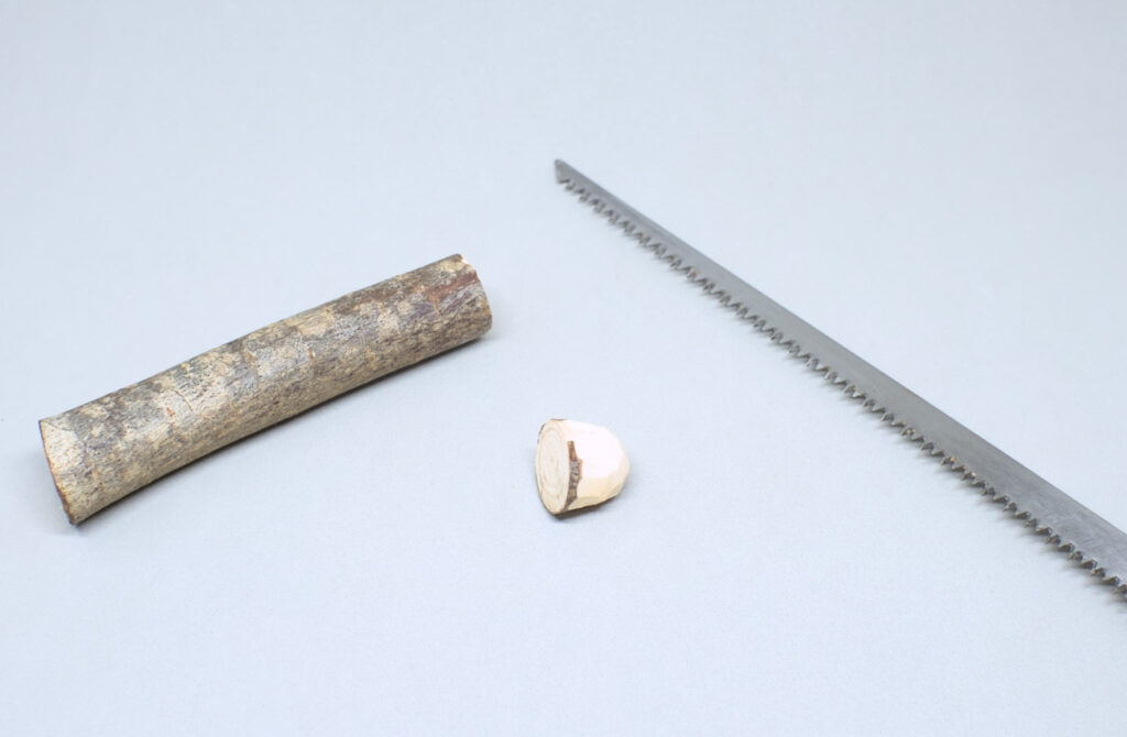 serrando punta redondeada tallada en rama seca