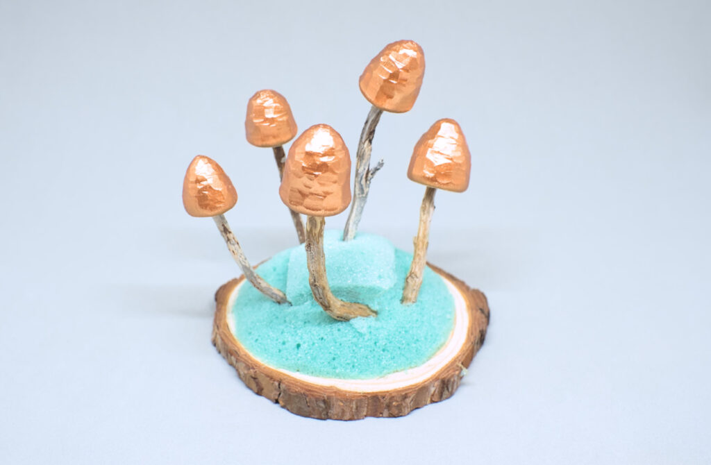 setas de madera colocadas en rodaja de pino con espuma floral