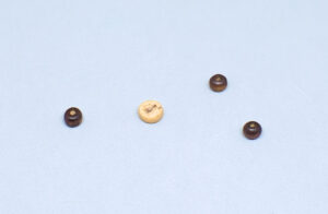 cuentas de madera con diferentes formas