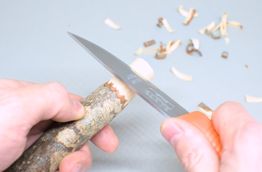 desbastando extremo de rama de pino 3 cm diametro