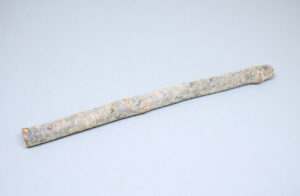 rama fina y seca de pino