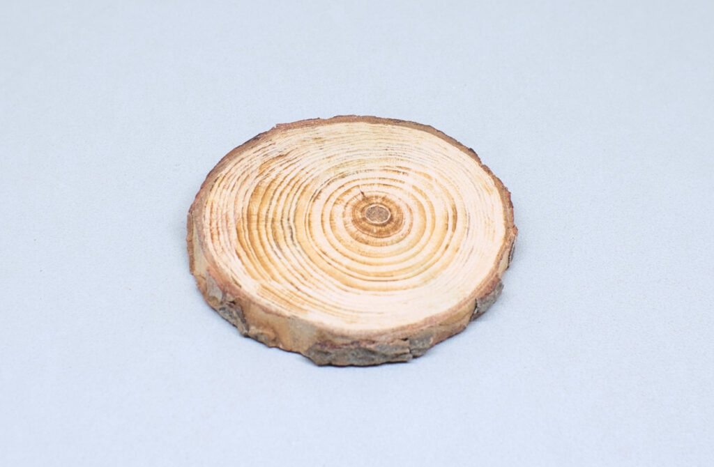 rodaja de madera con ambas caras pulidas