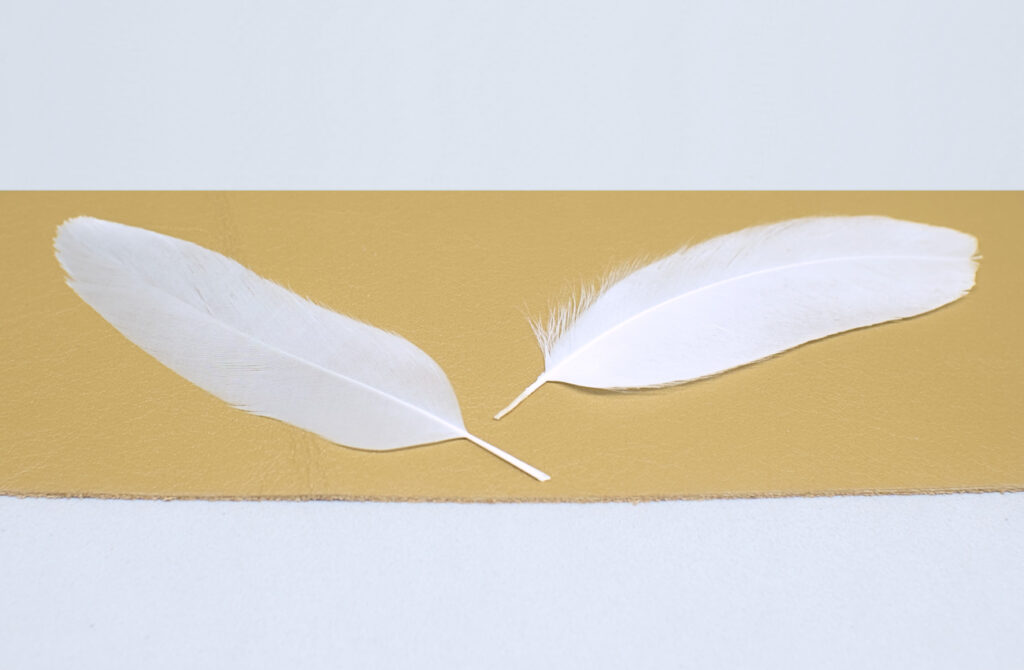 pequeñas plumas naturales de color blanco