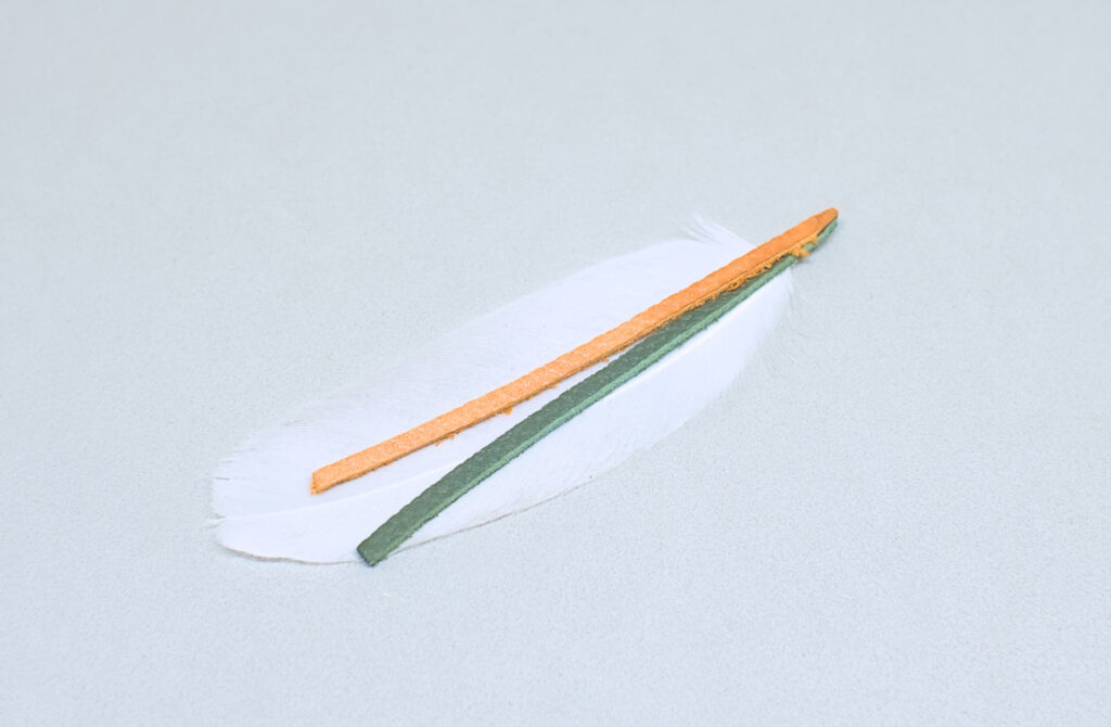 pluma natural con dos tiras de cuero adheridas