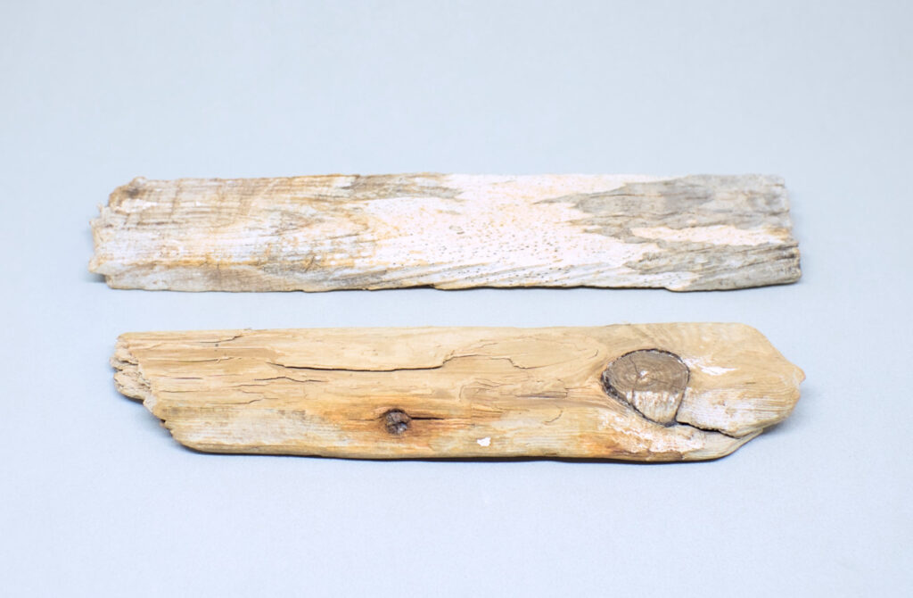 fragmentos alargados de madera de deriva