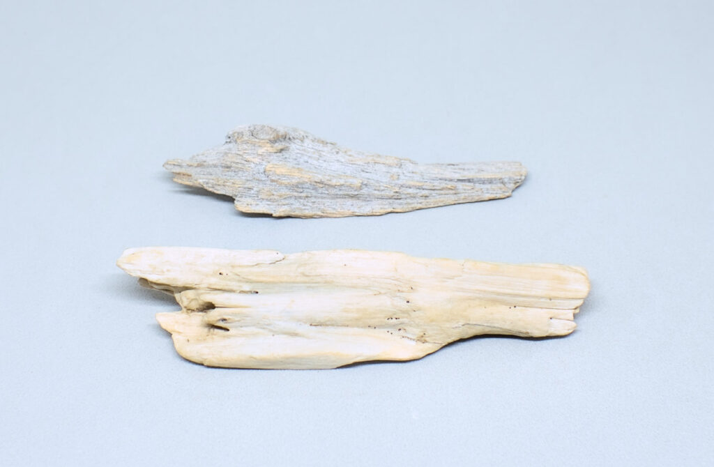 fragmentos pequeños e irregulares de madera de deriva